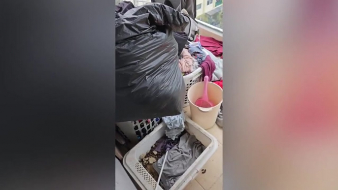 Shocked landlord finds unwashed clothes and ‘filthy cat litter’ while inspecting tenant’s room