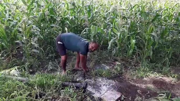 The swaying crops started withering, now the support of tubewell