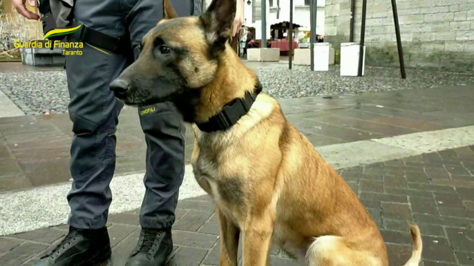 Taranto, sequestro di sostanze stupefacenti. 20 persone segnalate