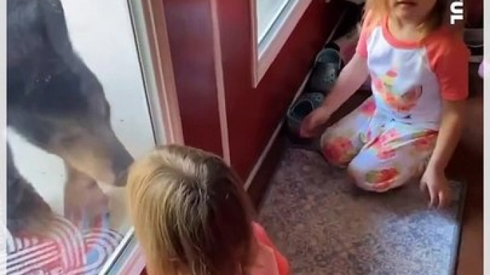 Kids Delighted by Bear's Visit to Family Holiday Cabin