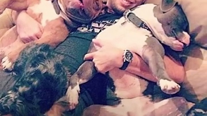 Smiling Pit Bull Loves His New Family So Much   The Dodo