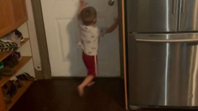 Adorable toddler squeaks and whistles dog-like to call his dogs inside the room
