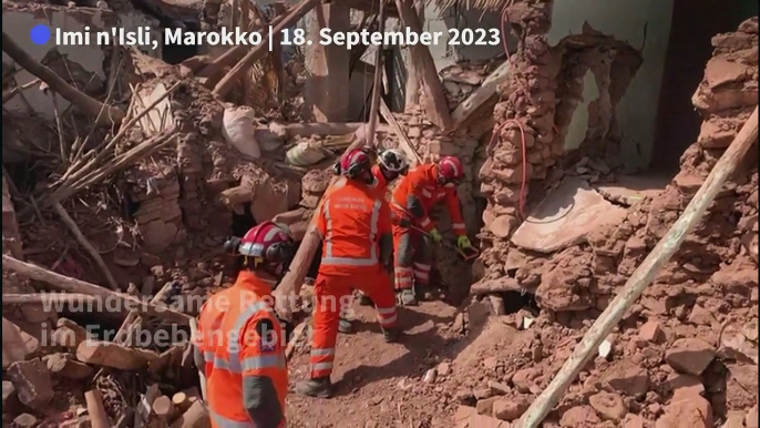 Marokko: Esel nach sechs Tagen lebend gerettet