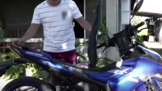 Rider ng motorsiklo, nagulat sa kanyang “angkas”! | GMA Integrated Newsfeed