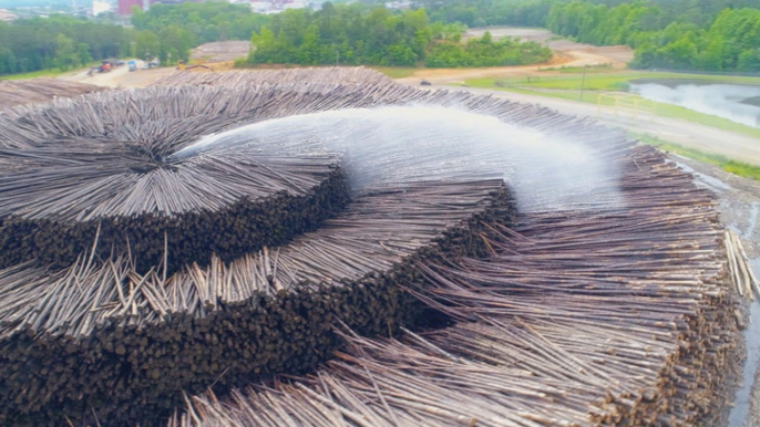 Cardboard is one of the most recycled materials, but it still takes piles of trees to produce it every year