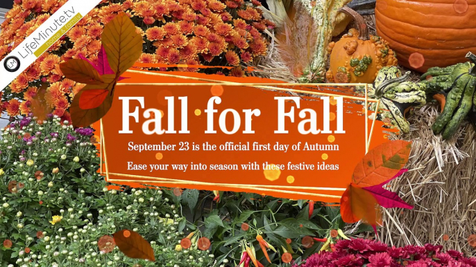 Fall for Fall