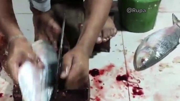 Big Hilsh Fish Cutting Skills।। Fish market।। Elish fish cutting skill