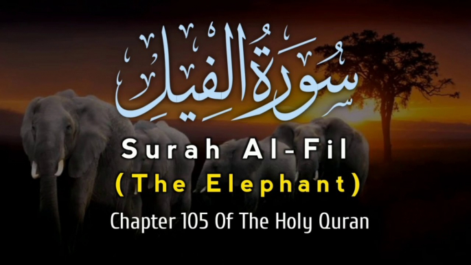 Surah Al-Fil Recitation Full HD With English Urdu Translation | The Elephant | Holy Quran Urdu English Translation | Qtuber Urdu