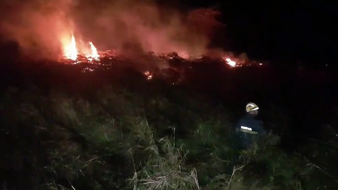 Corpo de Bombeiros combate incêndio às margens da BR-277, próximo ao pedágio desativado