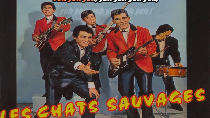 Les Chats Sauvages & Dick Rivers_Un p'tit je ne sais quoi (One track mind)(1962)karaoké