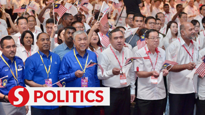 We are not the enemy of Malays or Umno, says DAP's Loke