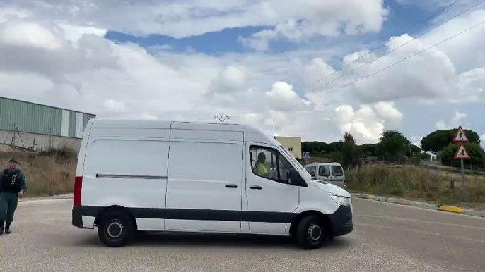 La Guardia Civil interviene en Laguna tras escaparse varios toros