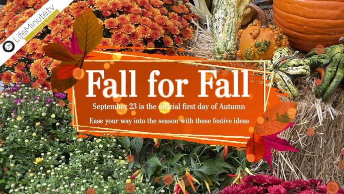 Fall for Fall with Fun Activities for the Season