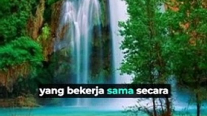 Keajaiban Dunia Lebah: Pemelihara Alam yang Kecil