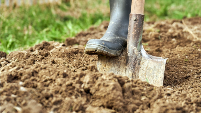 Muss man den Garten im Herbst umgraben?