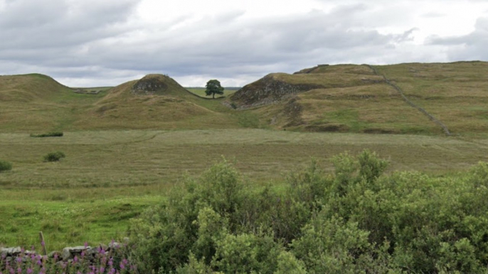 Newcastle headlines 29 September: The latest on the Northumberland Sycamore Gap Tree