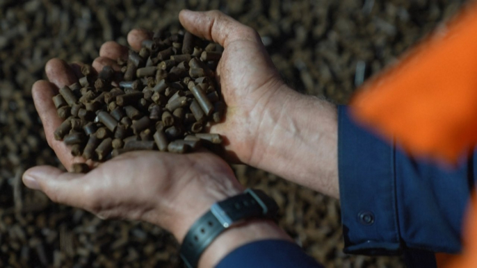 Des pellets de bois à la place du charbon : la centrale de Saint-Avold prépare sa transition vers les énergies renouvelables