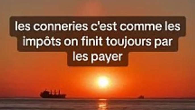 les conneries c'est comme les impôts on finit toujours par les payer #conseils #conseil #motivation #citation #citations