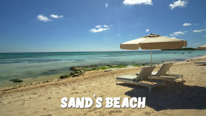 Michele Tarasik Ft. DJ Minchione - Sand's Beach