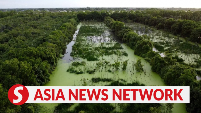 Vietnam News | Bird sanctuary in Vietnam's southernmost sky