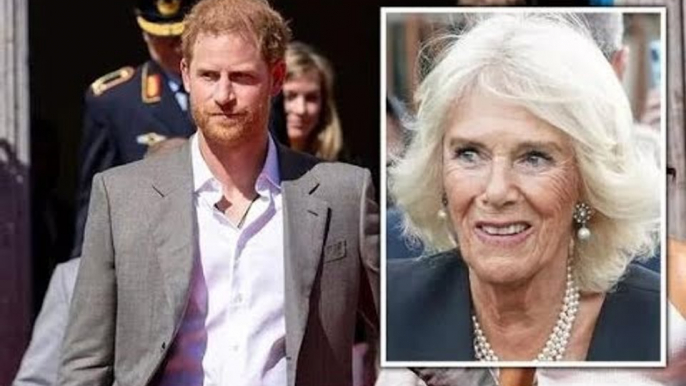 Il principe Harry "ha detto cose davvero cattive su Camilla", afferma l'autore