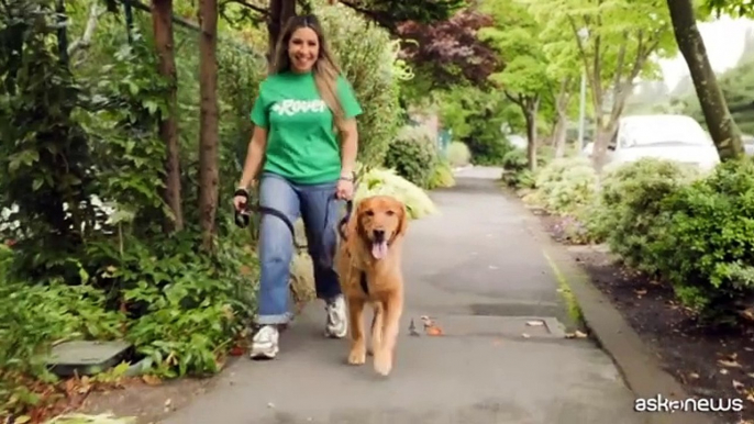 Gli animali domestici e il servizio di pet-sitter "a 5 stelle"