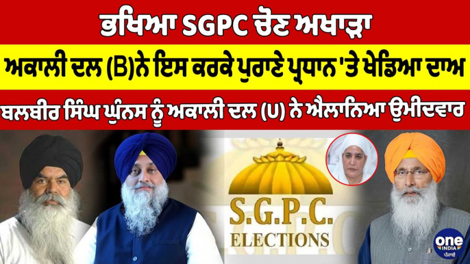 ਭਖਿਆ SGPC ਚੋਣ ਅਖਾੜਾ, ਅਕਾਲੀ ਦਲ (ਬ )ਨੇ ਇਸ ਕਰਕੇ ਪੁਰਾਣੇ ਪ੍ਰਧਾਨ 'ਤੇ ਖੇਡਿਆ ਦਾਅ |OneIndia Punjabi