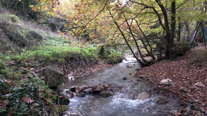 Στο δημοτικό Συμβούλιο οι κάτοικοι της Παύλιανης για το υδροηλεκτρικό