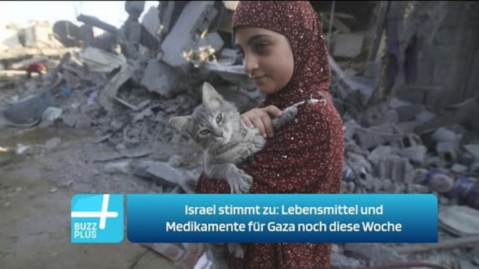 Israel stimmt zu: Lebensmittel und Medikamente für Gaza noch diese Woche