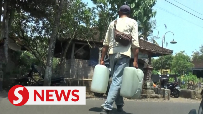 Bali's dams, crops drying up as drought worsens