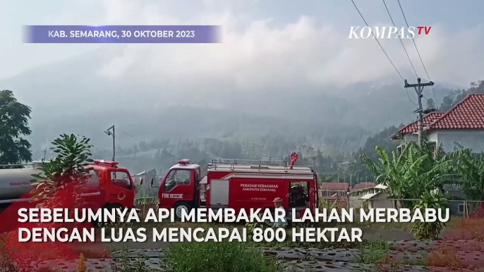 Kondisi Terkini Kebakaran Gunung Merbabu Usai Diguyur Hujan