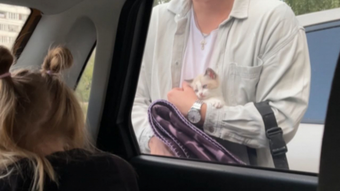 Parents surprise their cute daughter with a kitty of her own *Wholesome Cat Surprise*