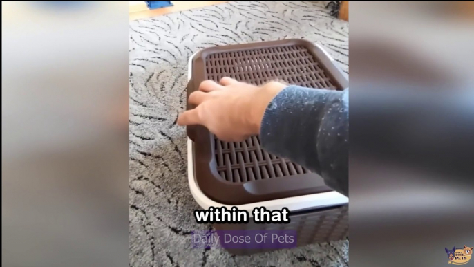 New Hilarious Pets 2023  Funniest Cats and Dogs On YouTube  Part 1