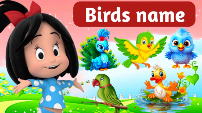 Birds | Birds name with spelling and  pictures | birds name | 20 birds name