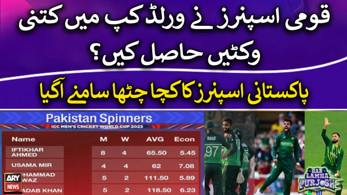 Pakistani Spinners' Bed Performance in World Cup - Cricket Experts' Reaction