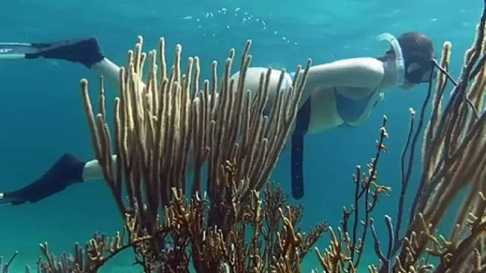 My Girlfriend Spearfishing and Cooking Bahamas Fish!