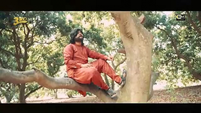 Jany Wala Sanp Tha - Tera Hua Na Mera Hua (Official Video) - Saqlain Musakhelvi Official