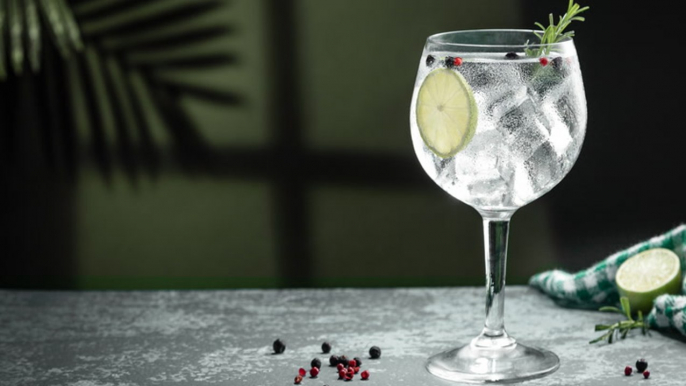 The 13 Best Gins for Every Home Bar