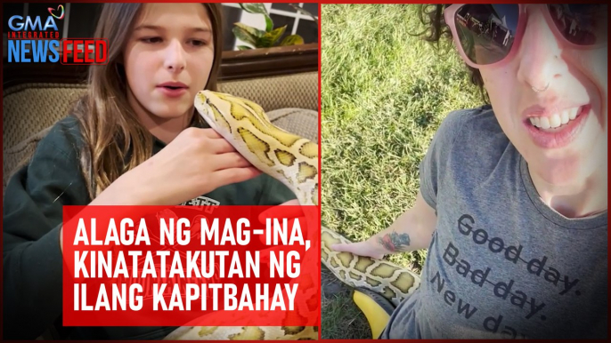 Alaga ng mag-ina, kinatatakutan ng ilang kapitbahay | GMA Integrated Newsfeed