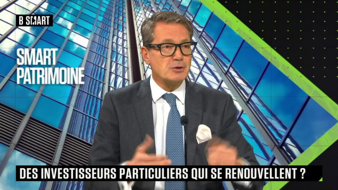 SMART PATRIMOINE - Portrait des investisseurs individuels en France