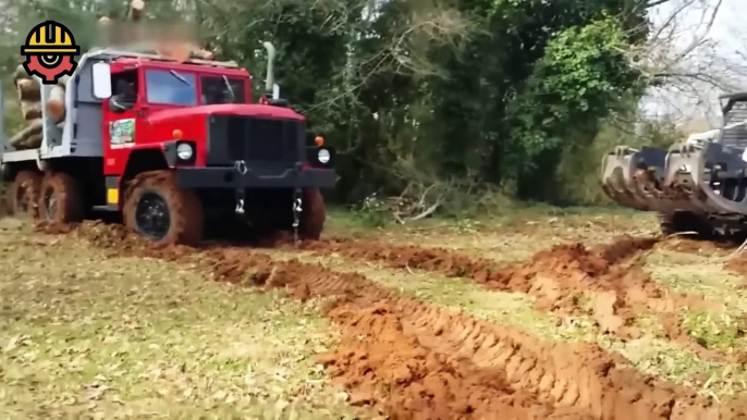 Amazing Fastest Cutting Huge Tree Skills With Chainsaw, Powerful Woodworking & Wood Crusher