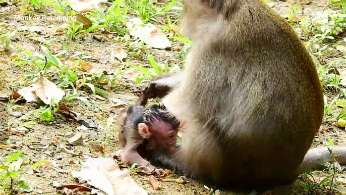 Breaking heart! New baby Arian crying so loudly because mom hurting him - Arian tortured by mom