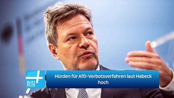 Hürden für AfD-Verbotsverfahren laut Habeck hoch