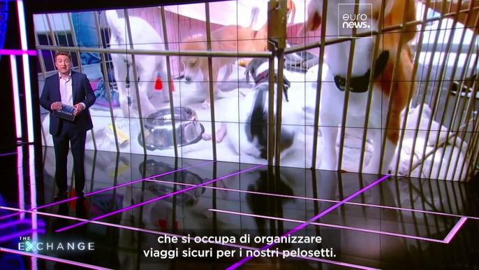 L'industria degli animali domestici è in crescita