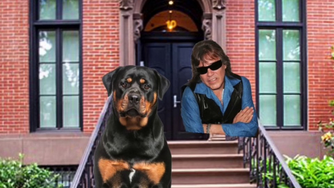 Jim Henson Dogs Xexuson - Real Life Dog Segment - Meet Murray The Dog Can the Better Care