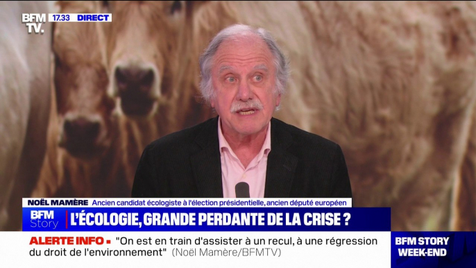 Pause du plan Écophyto: "Emmanuel Macron n'a jamais aimé l'écologie et n'a jamais compris ce que ça pouvait apporter à notre société", pour l'ancien député européen écologiste Noël Mamère