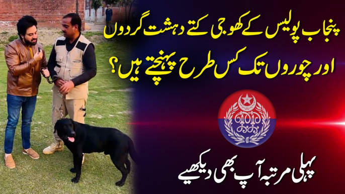 Punjab Police k khoji kuttay dehshatgardo aur choro tak kis tarah pohanchtay hain? Pehli martaba aap b dekhiye