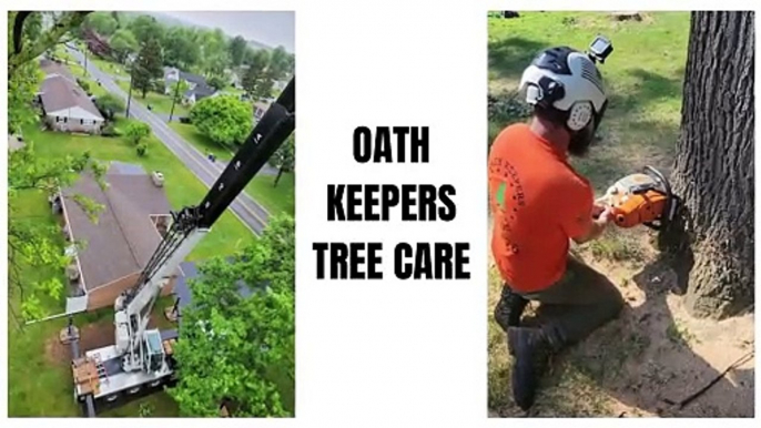 Oath Keepers Tree Care - Top Rated Tree Service Company in York, PA & Manchester, PA