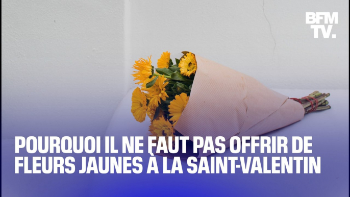 Pourquoi il ne faut jamais offrir de fleurs jaunes lors de la Saint-Valentin