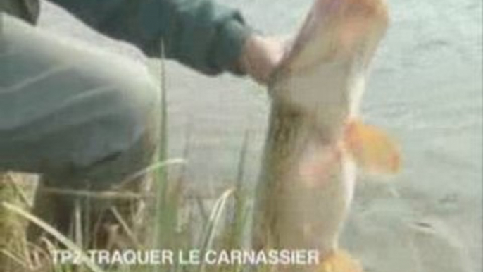 Traquer le carnassier-peche